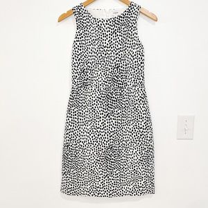 J. CREW FACTORY white and black polka dot canvas sheath dress size 2